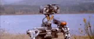 F1E0C7C1-1B65-4272-B46F-AA42E8715639.gif