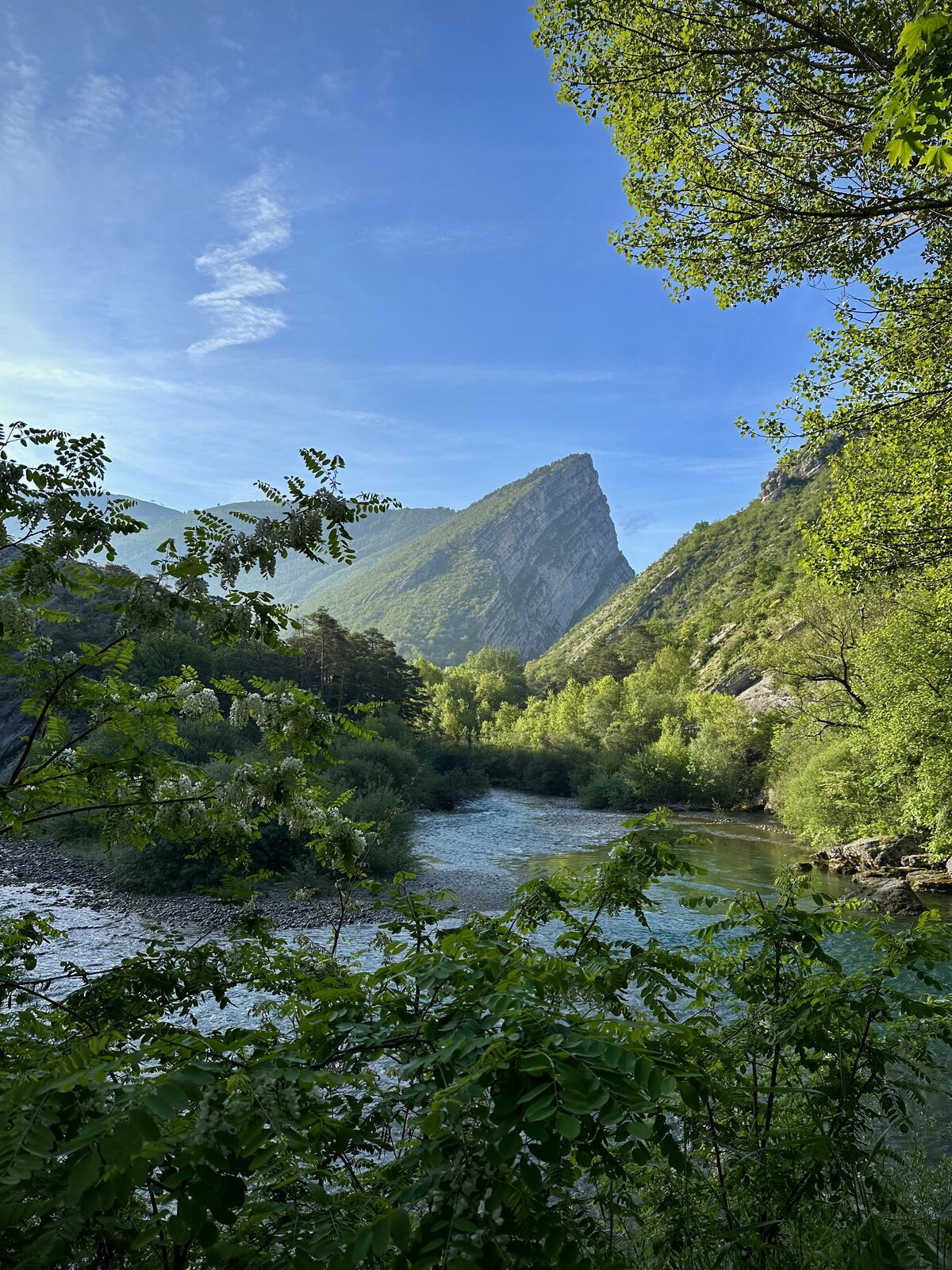 FAA2F008-B75B-447F-8C60-59C6188E05D8.jpeg
