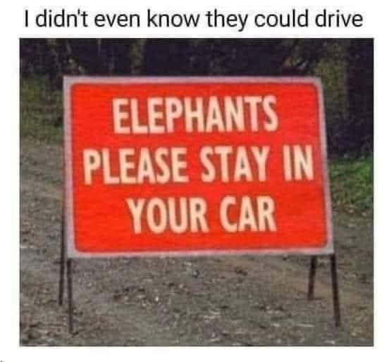FB_IMG_1780767934422.jpg