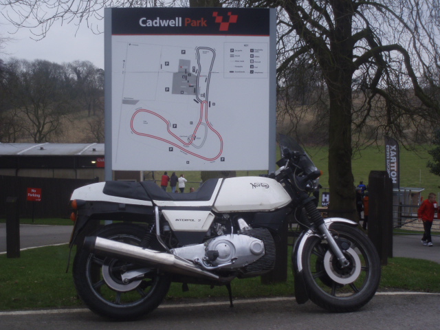 Fido @ Cadwell.JPG