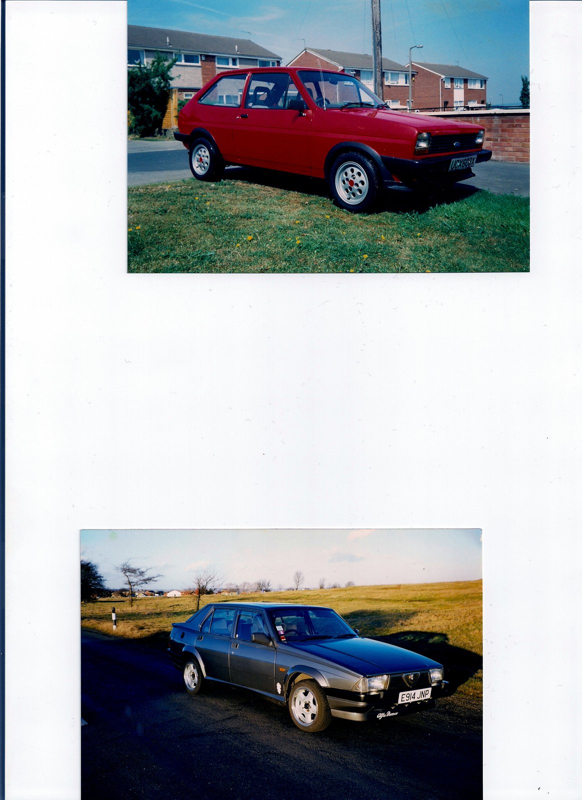 fiesta_alfa.jpeg