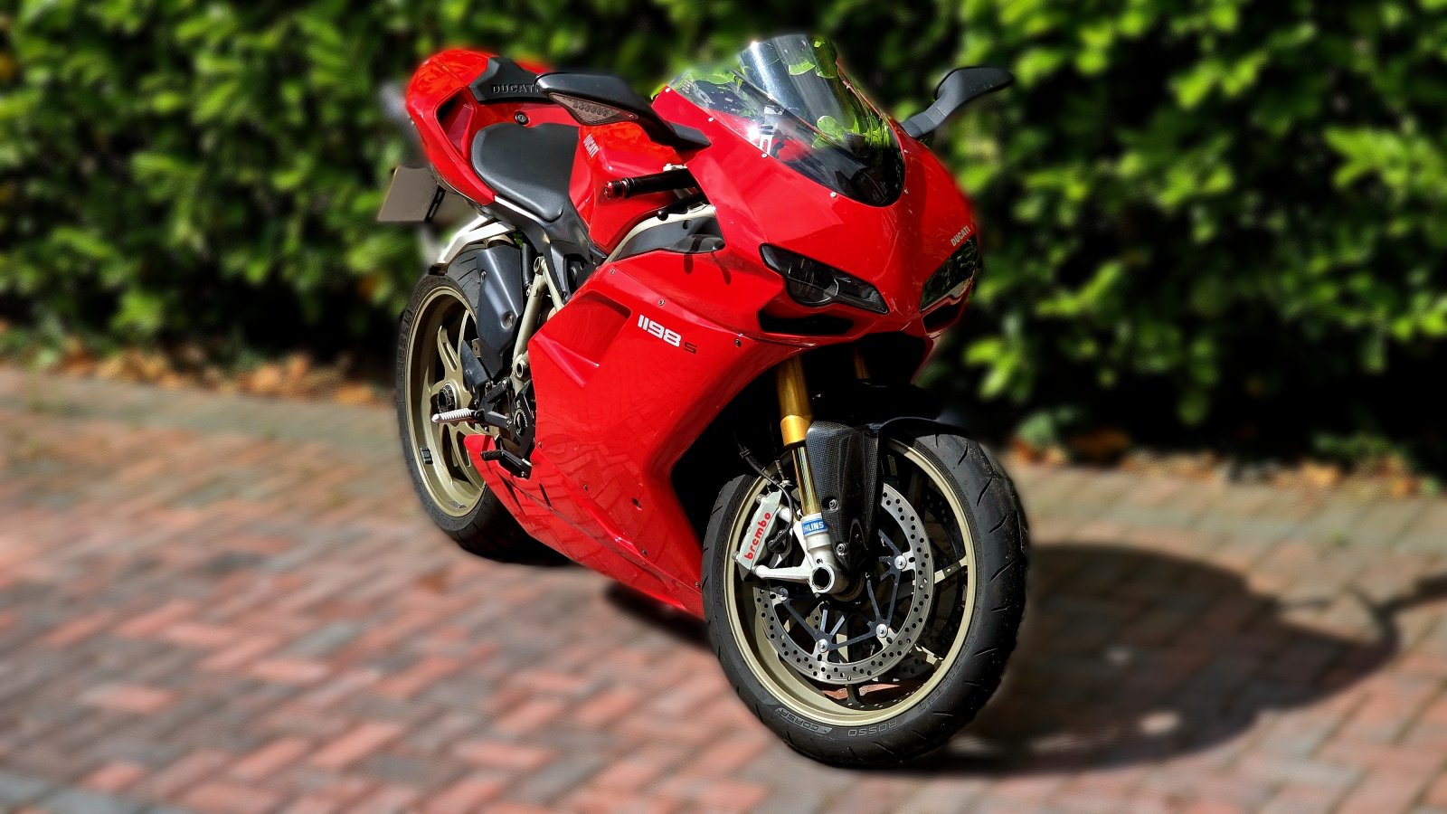 front right.jpg