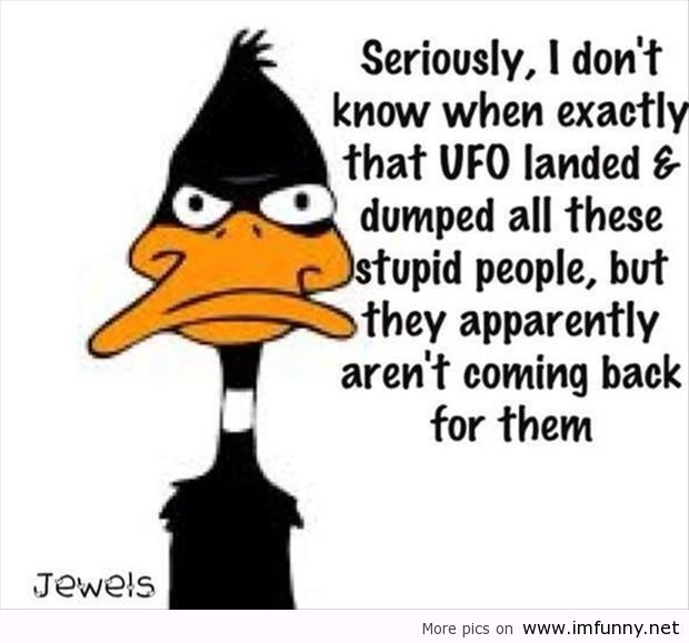 Funny-quotes-Daffy-Duck.jpg