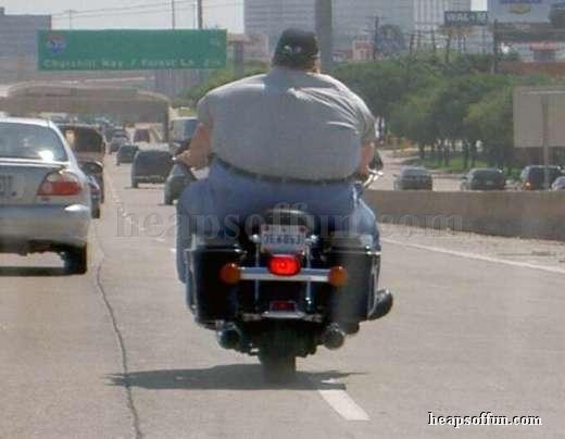 funny_motorcycle_fat_ass_m1003.jpg