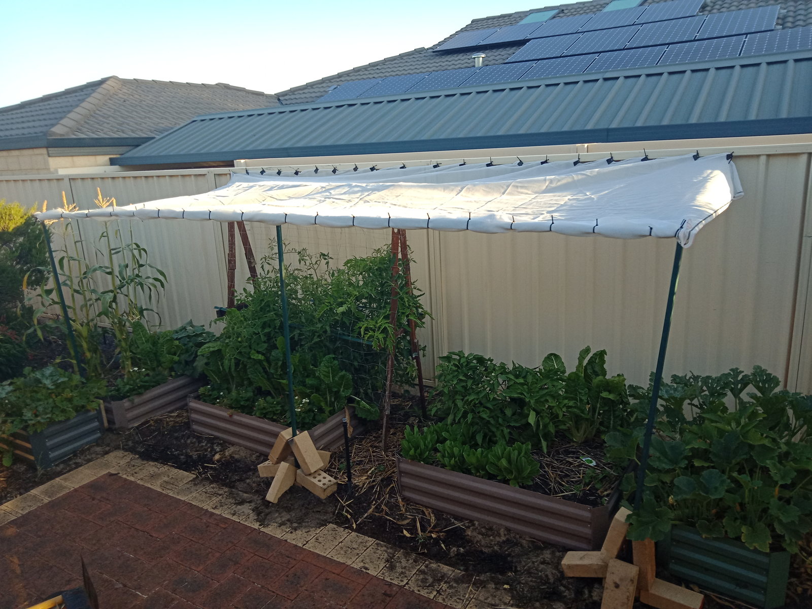 Garden with shadecloth.jpg