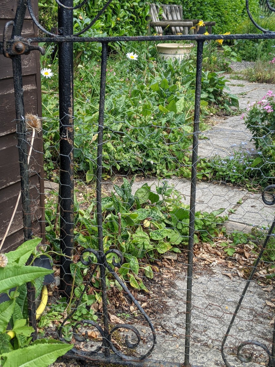 gate.jpg