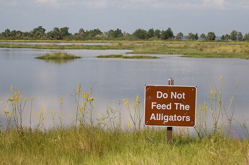 good-advice..jpg