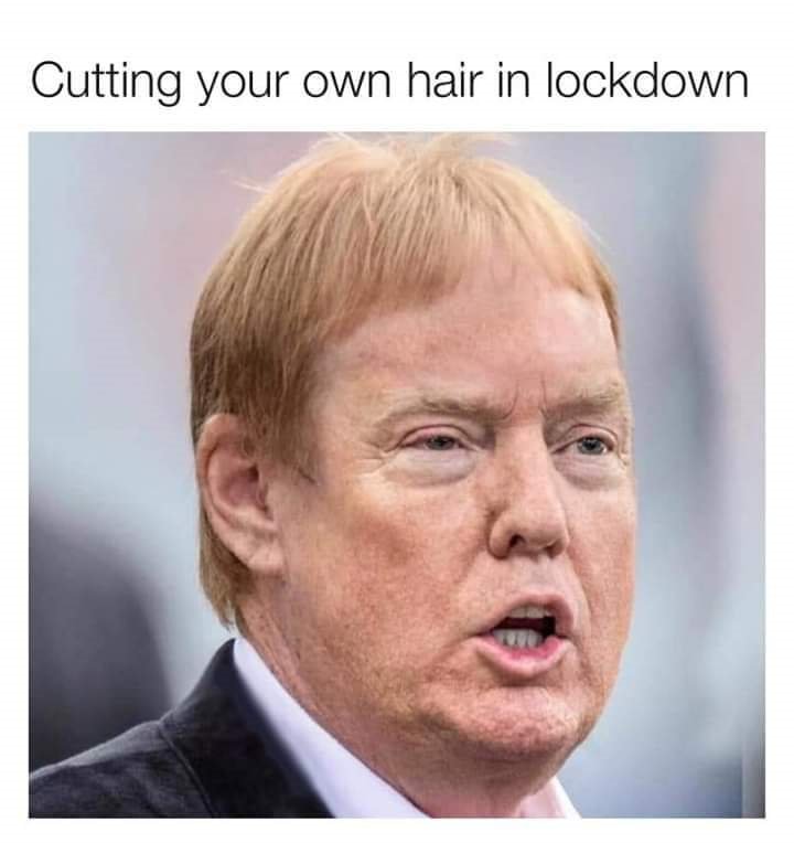 haircut.jpg
