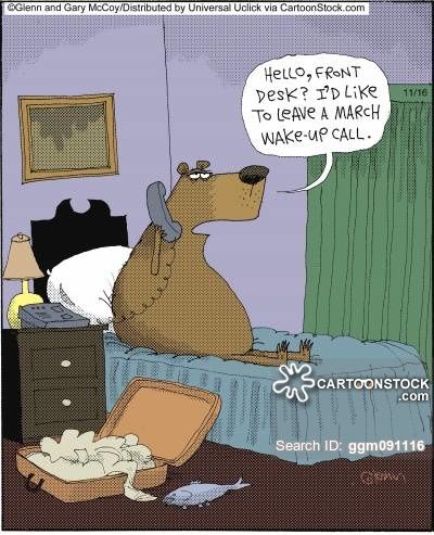 hibernating-bear-cartoon.jpg