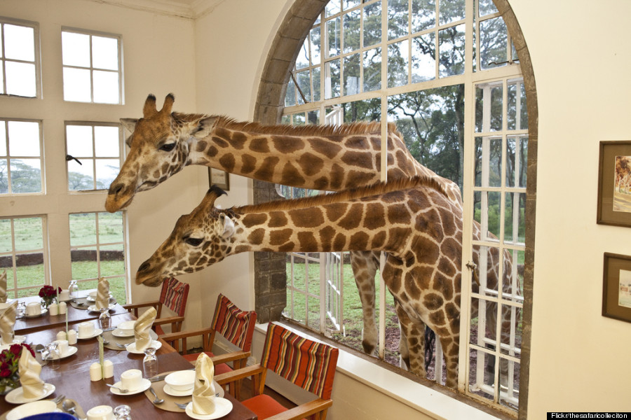 hotel.jpg