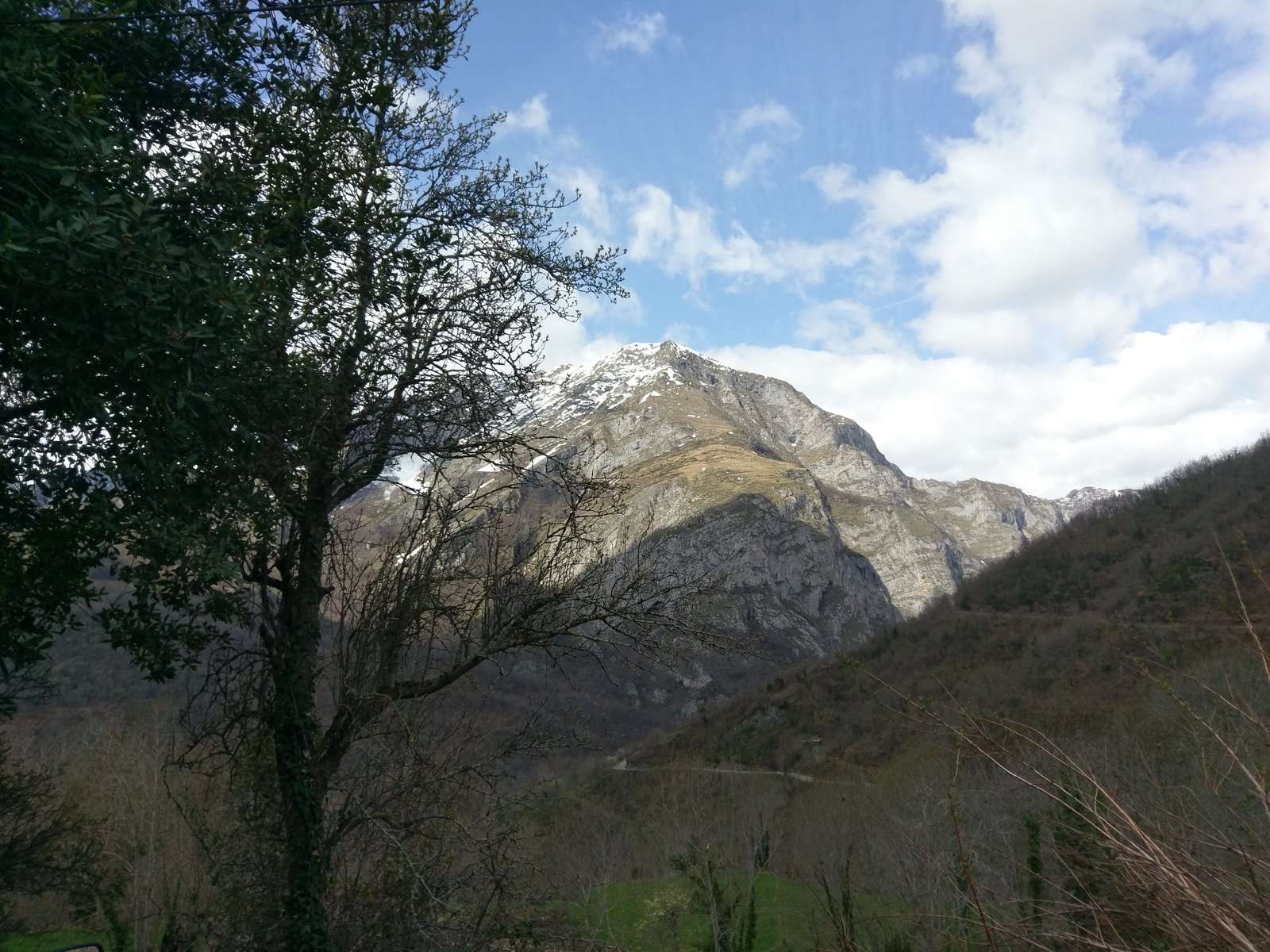 IMAG0038.jpg