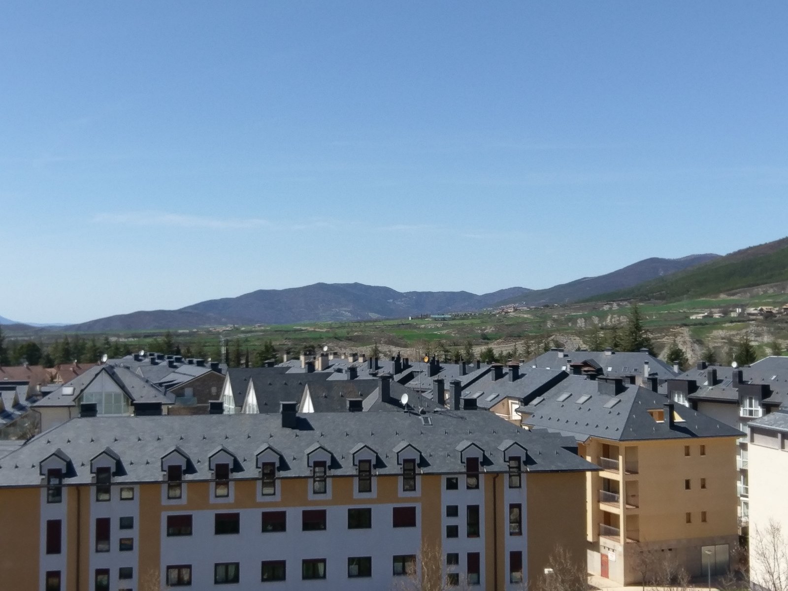 IMAG0057.jpg
