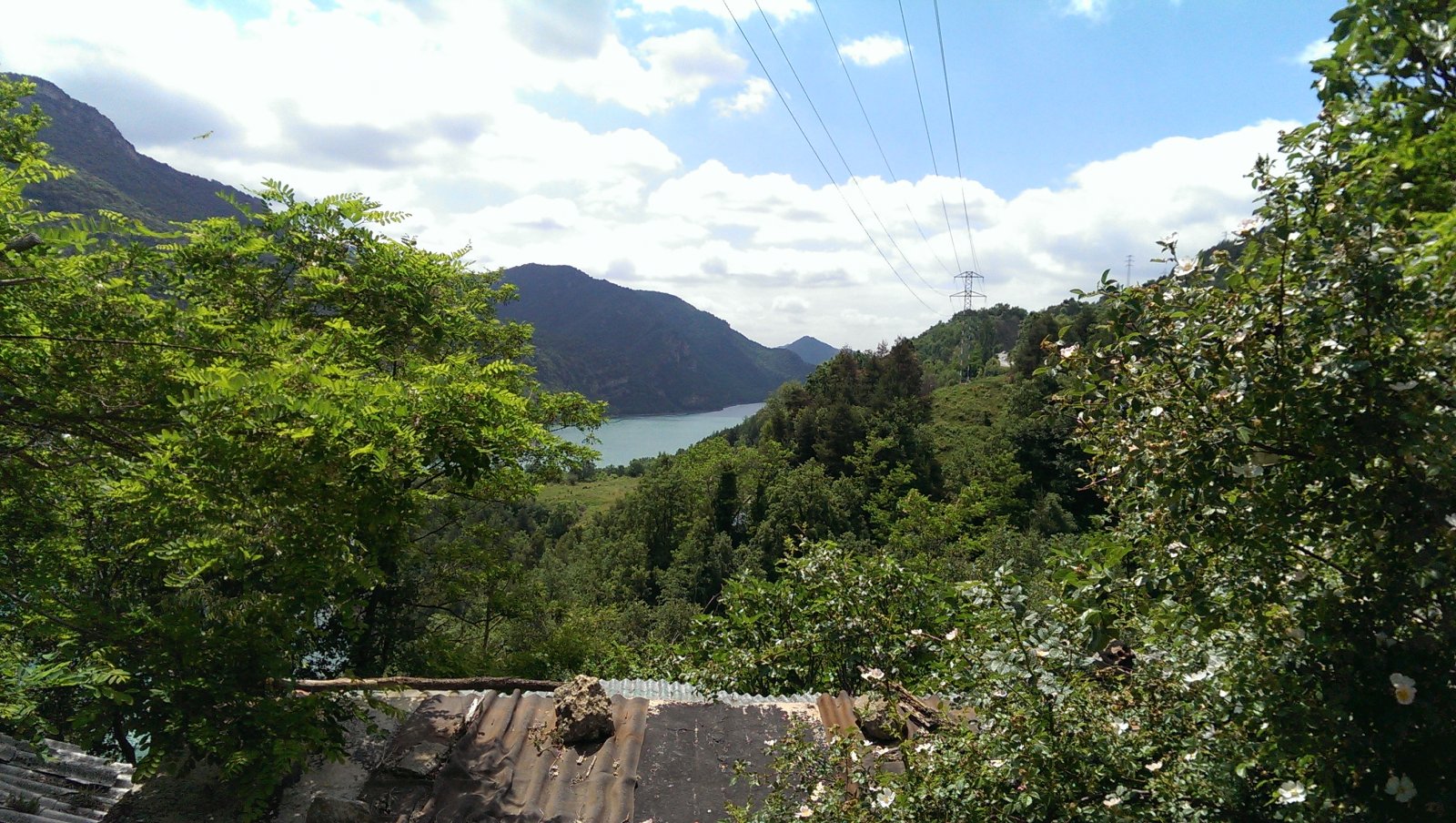 IMAG0062.jpg