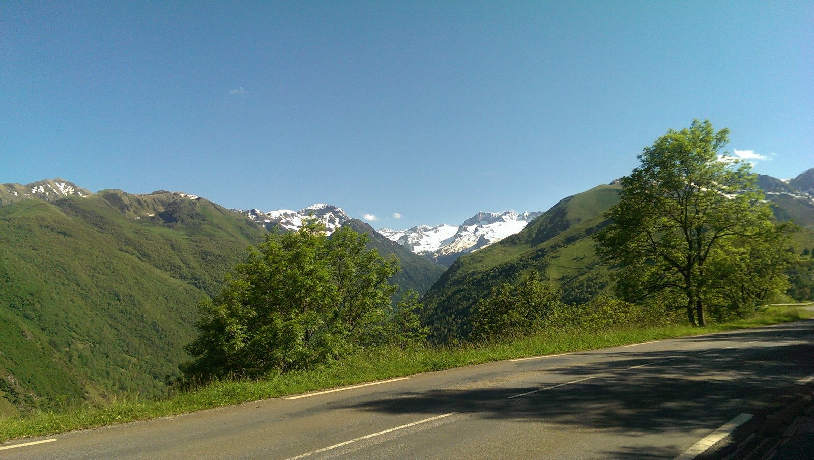 IMAG0080.jpg