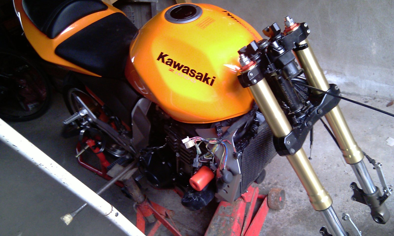 IMAG0085.jpg