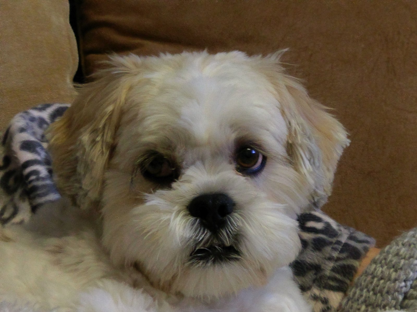 IMAG0113.jpg