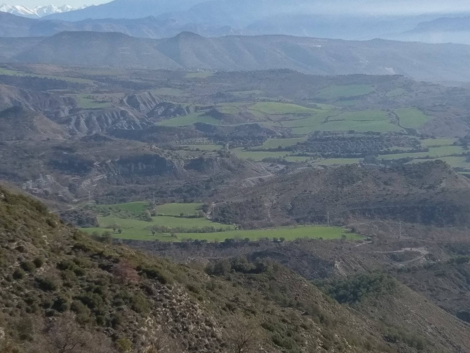 IMAG0364.jpg