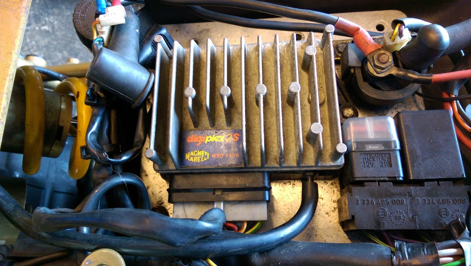 IMAG0433.jpg