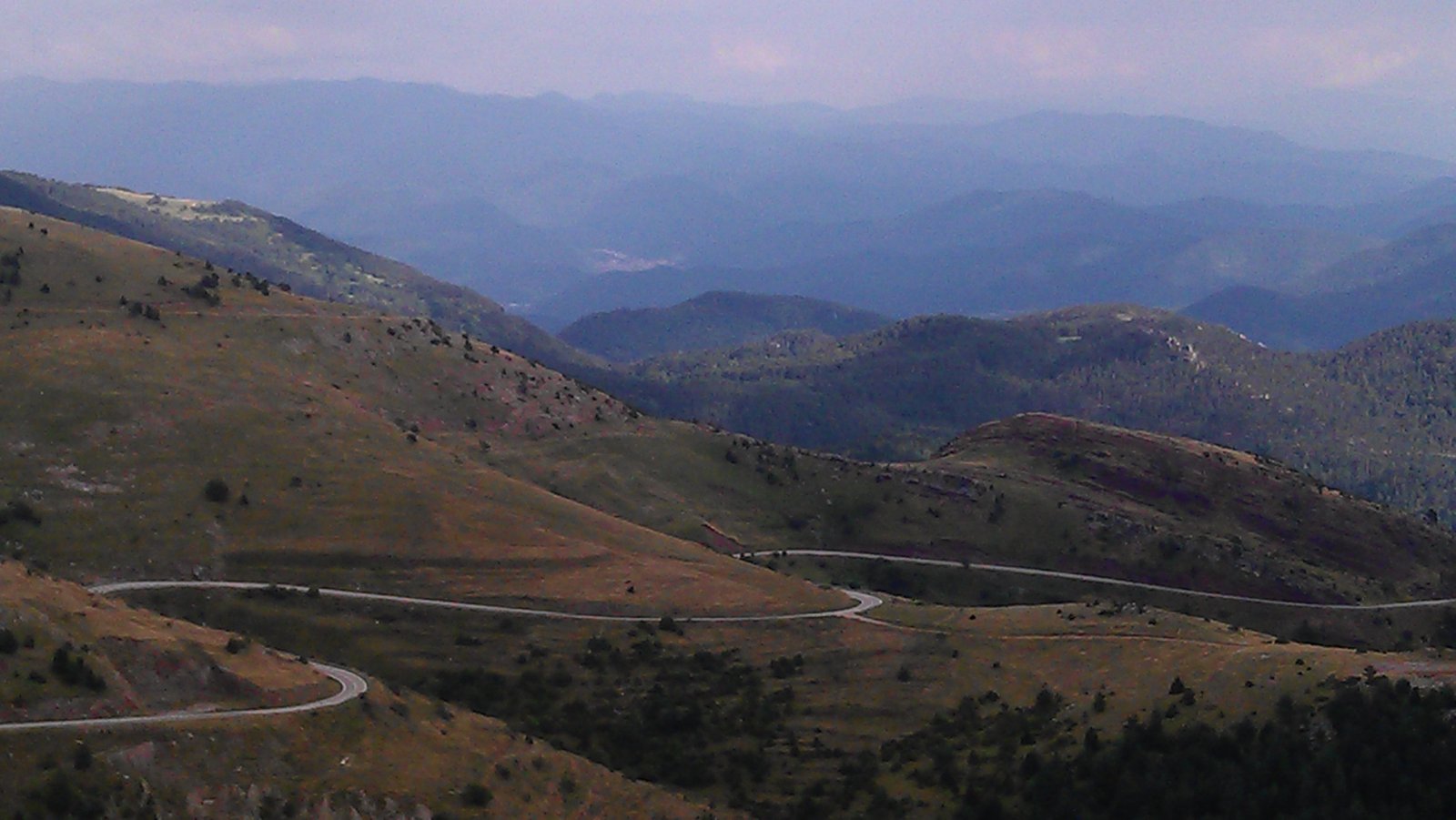 IMAG0491.jpg