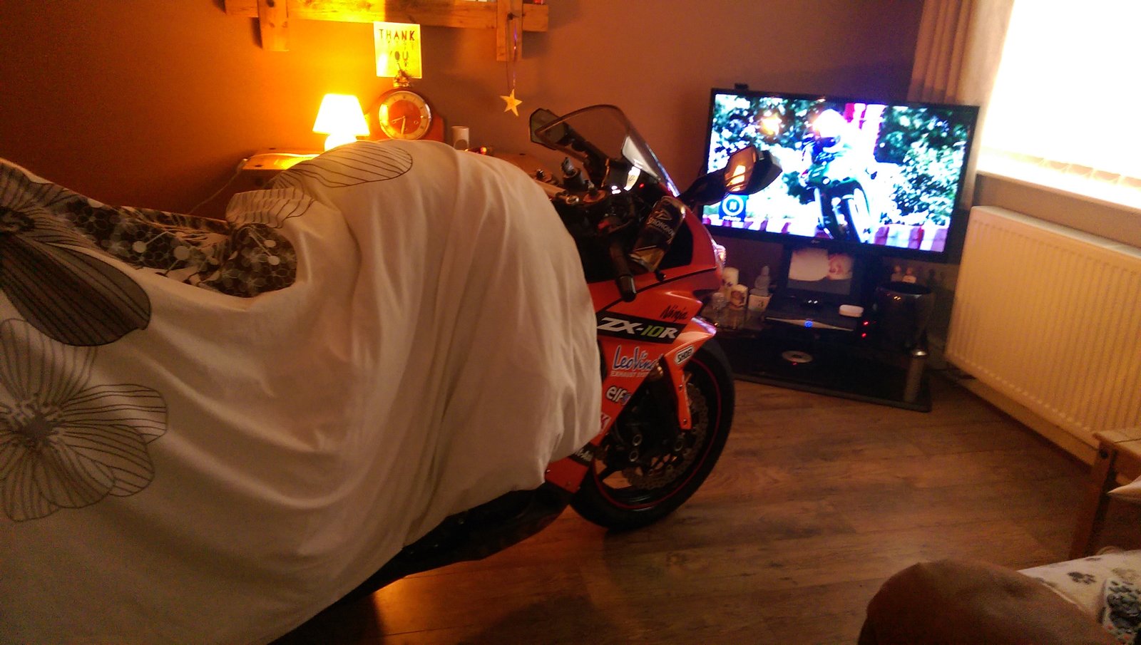 IMAG0595.jpg