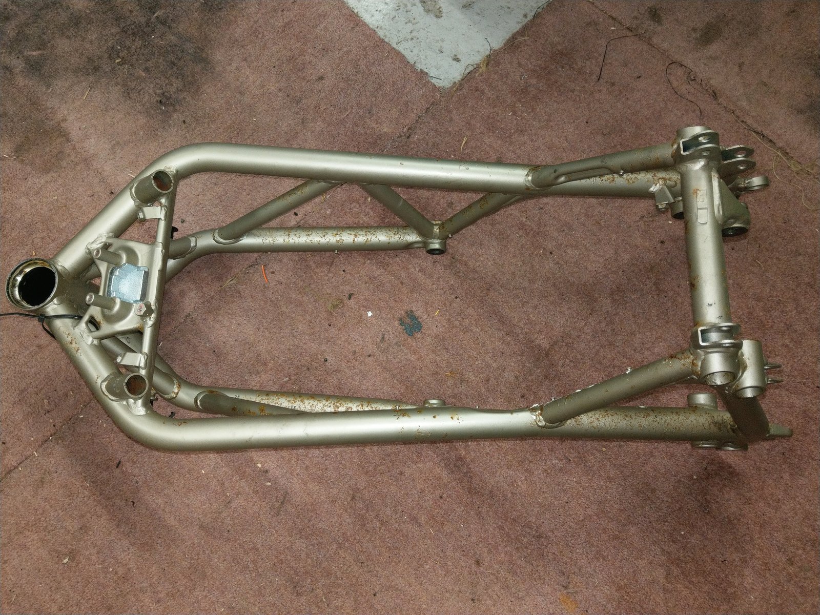 IMAG0835.jpg