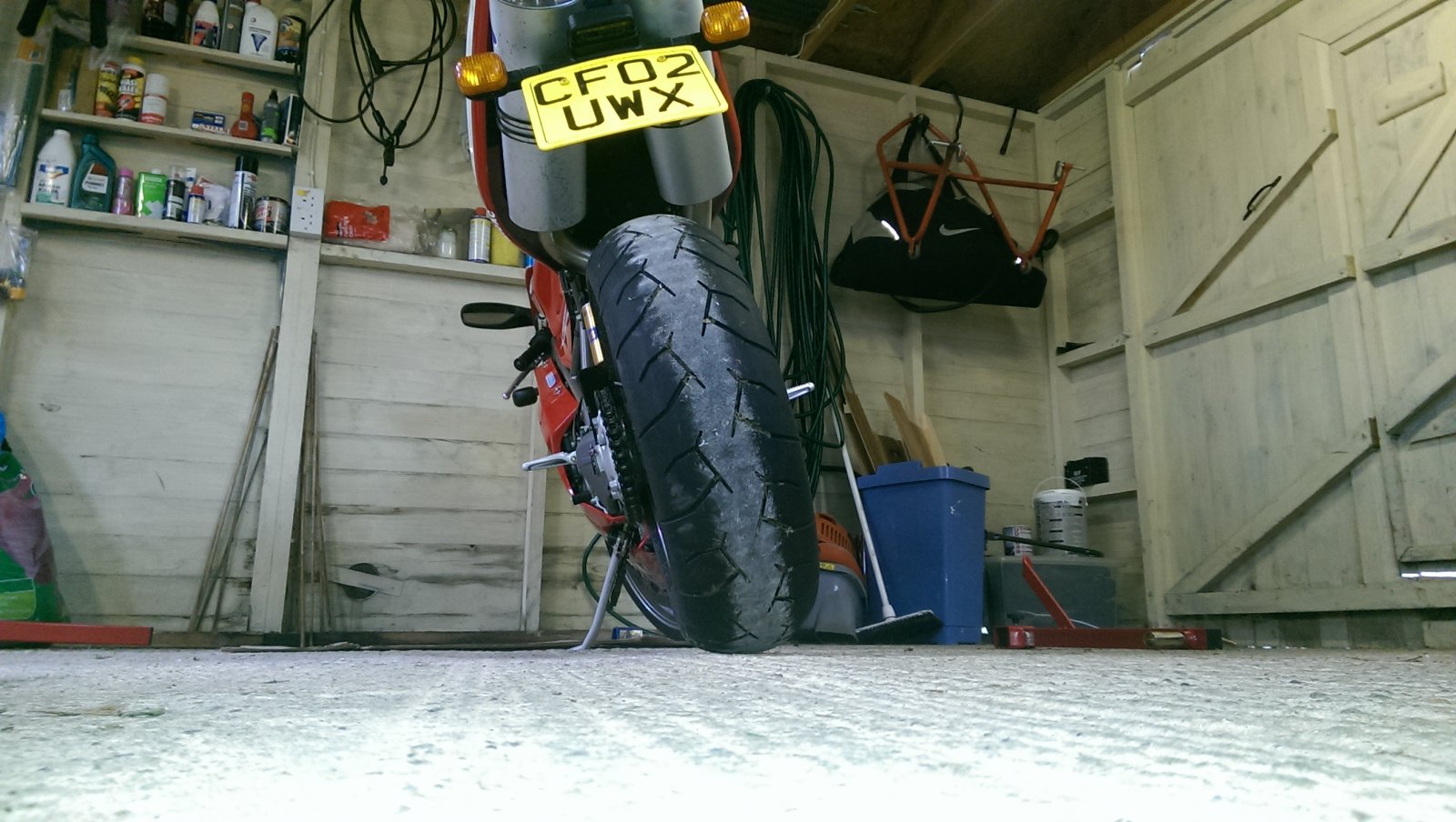 IMAG1031.jpg