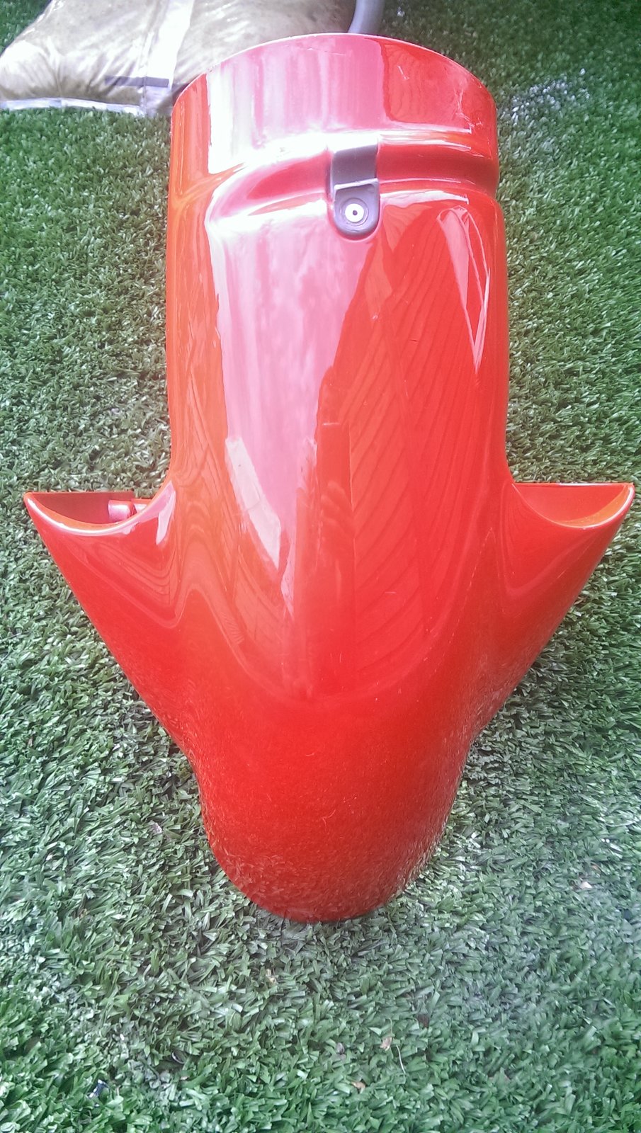 IMAG1612.jpg