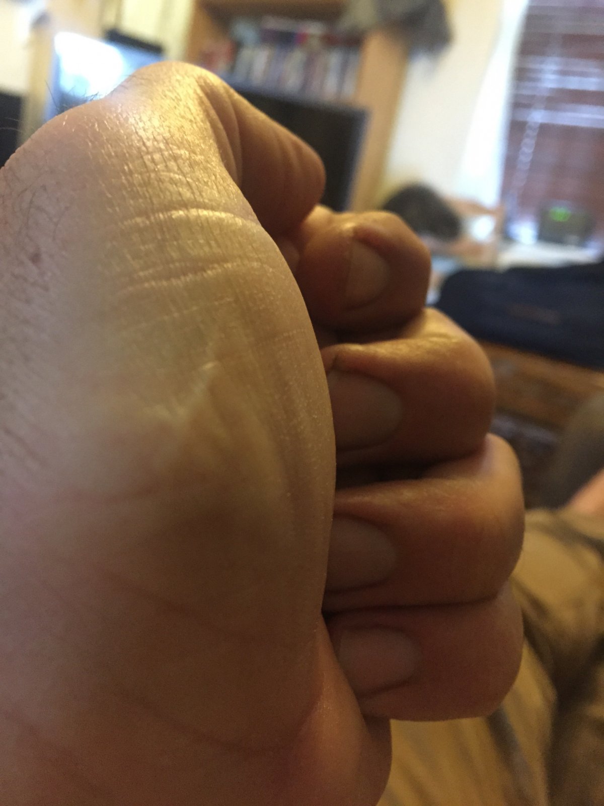 image.jpg