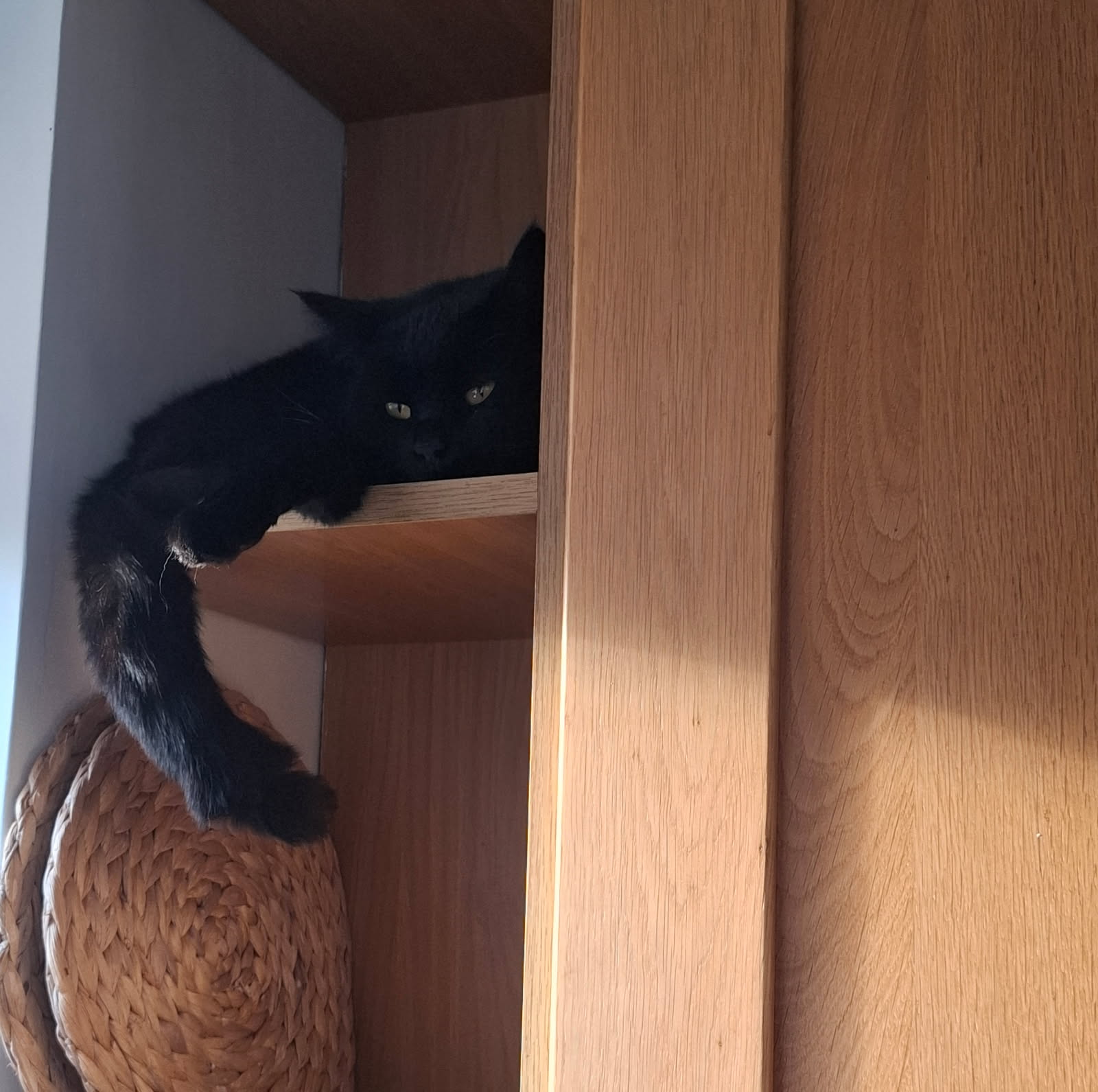 image0000001 (1).jpg