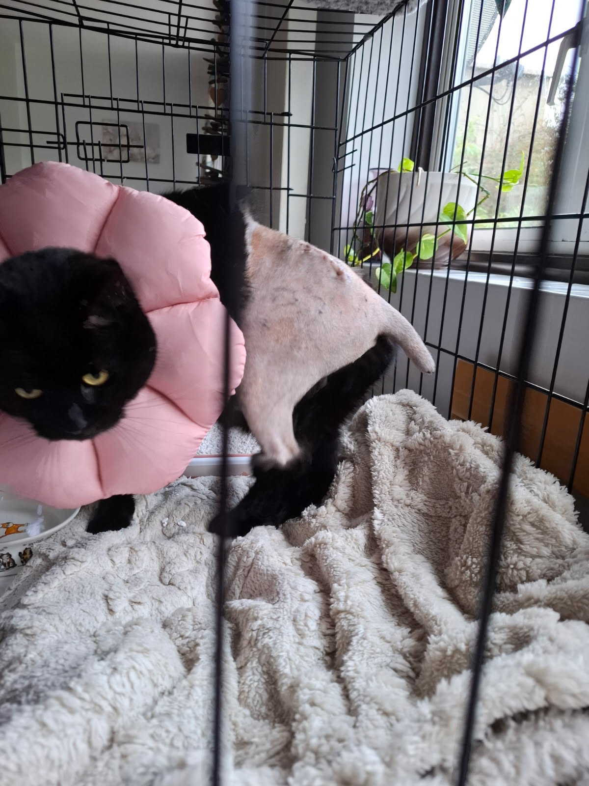 image0000001 (1).jpg