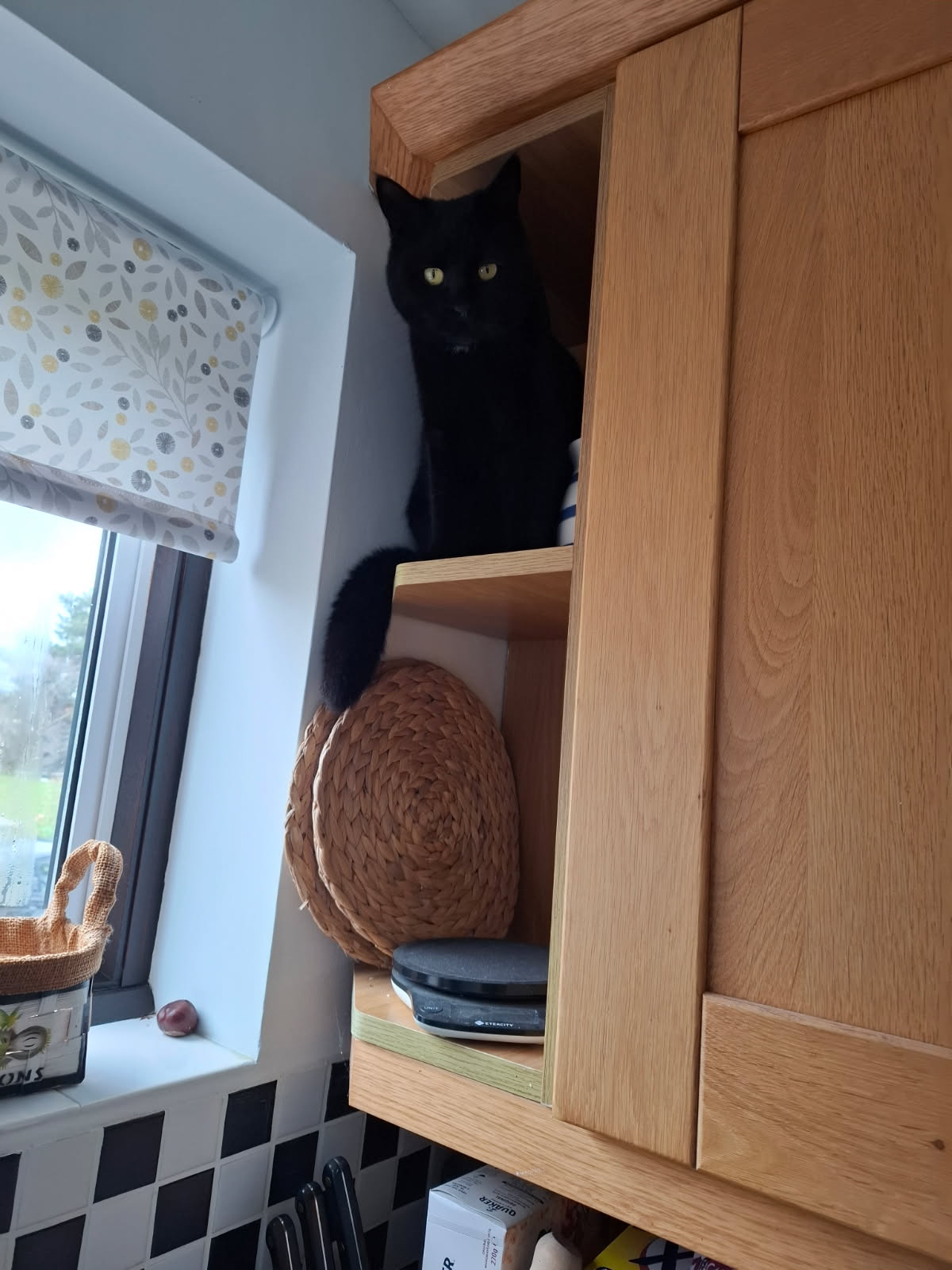 image0000011 (1).jpg