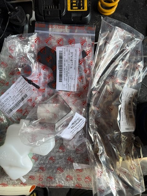 image5.jpeg