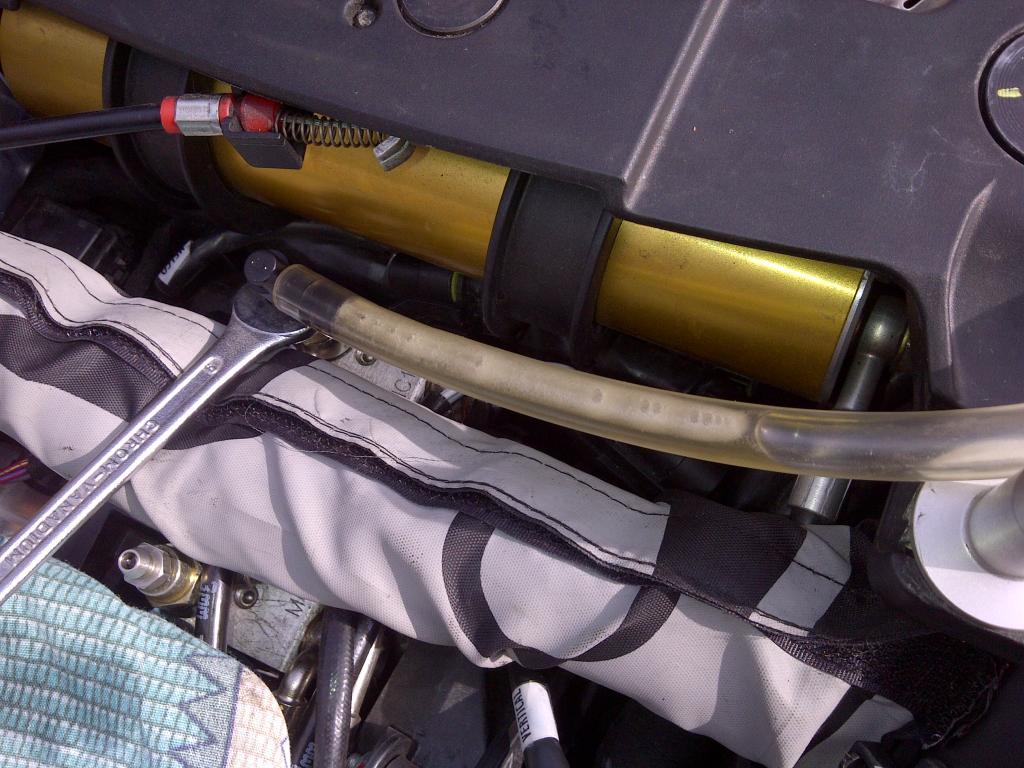 IMG-20130727-00718.jpg