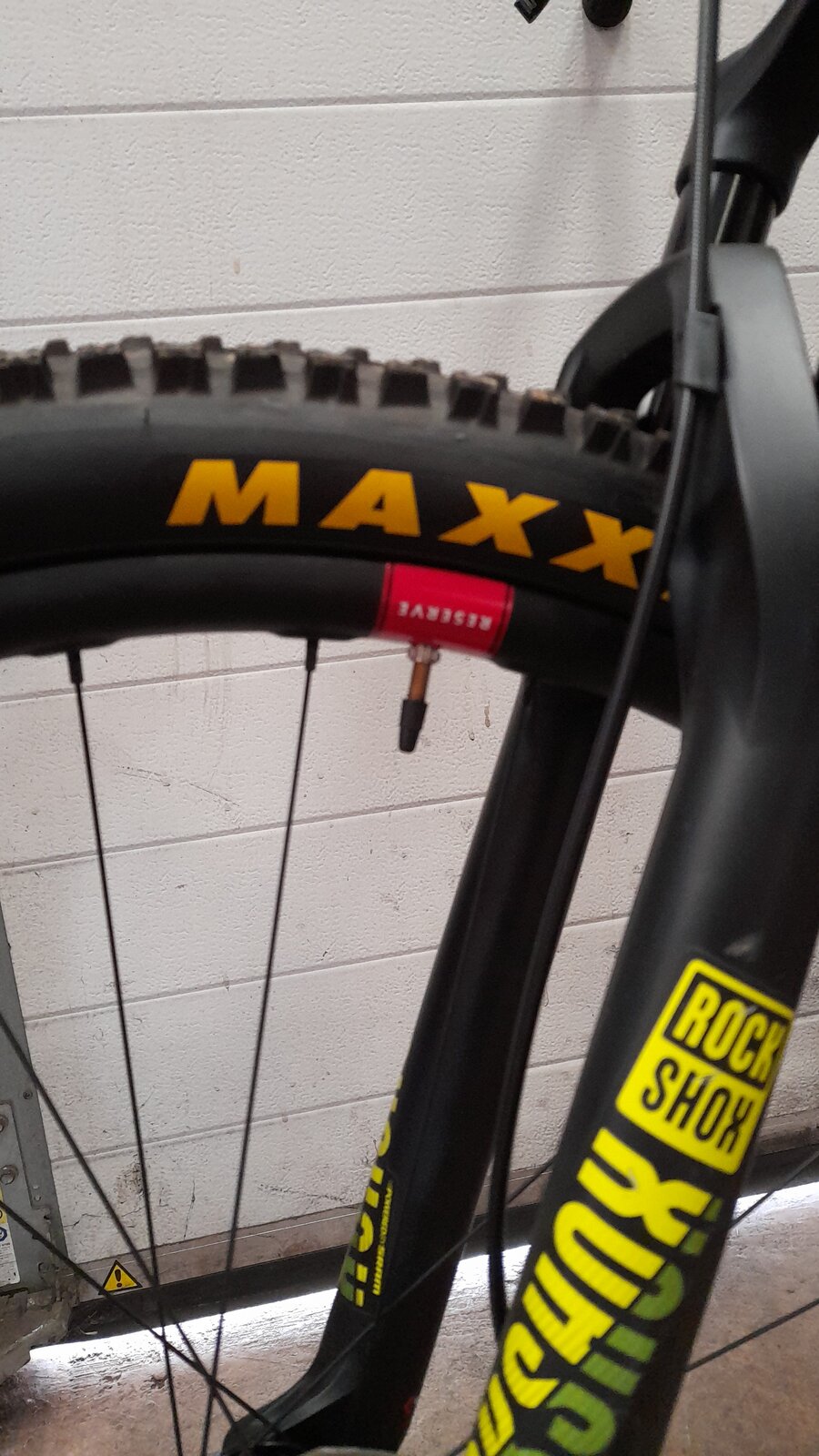 IMG-20231101-WA0008.jpeg