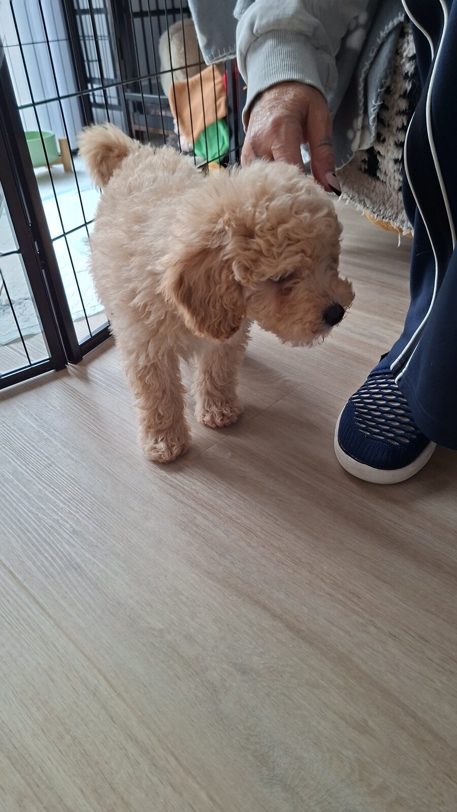 IMG-20251004-WA0019.jpeg