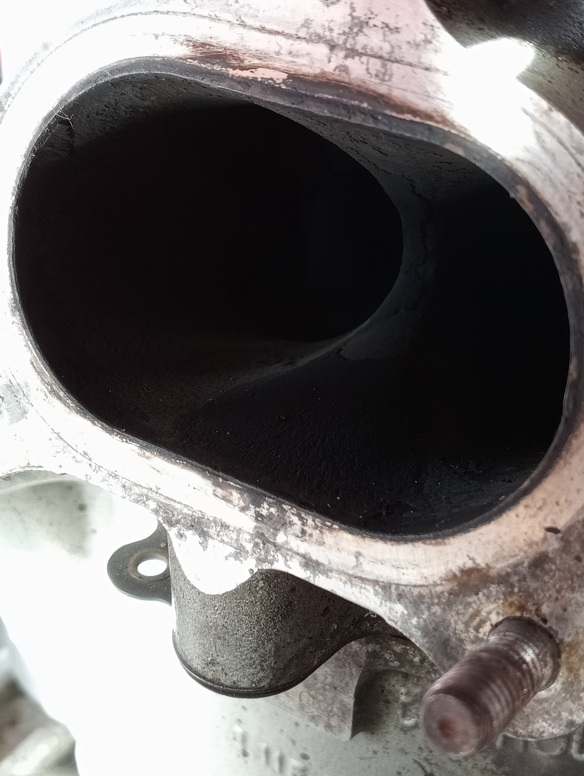 IMG20250315095406 - Copy (2).jpg