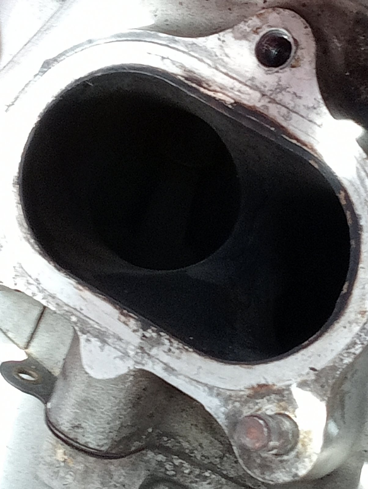 IMG20250315095502 - Copy (2).jpg