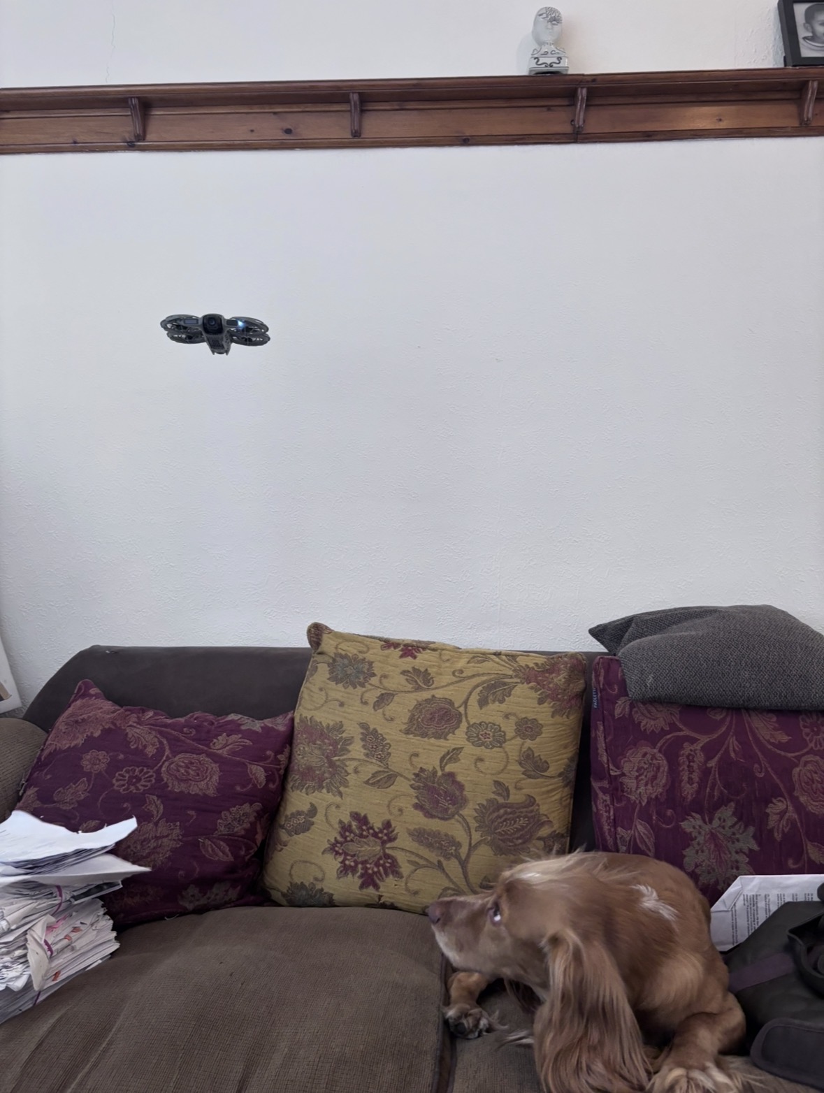 IMG_0146.jpeg