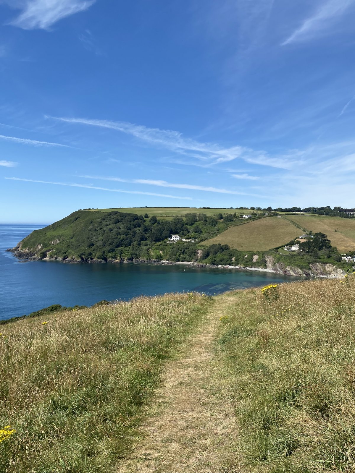 IMG_0693.jpeg