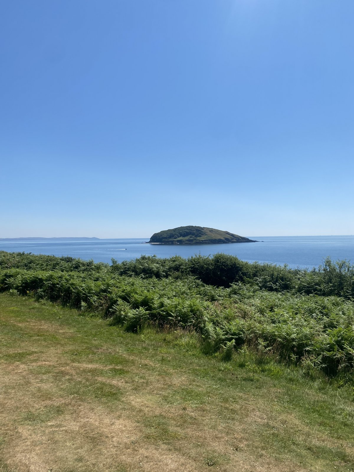 IMG_0713.jpeg