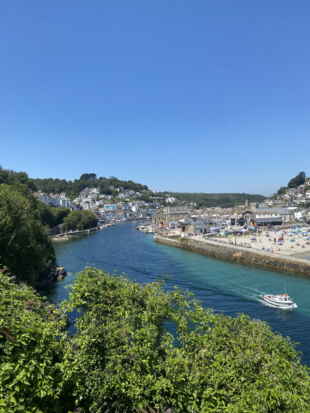 IMG_0715.jpeg