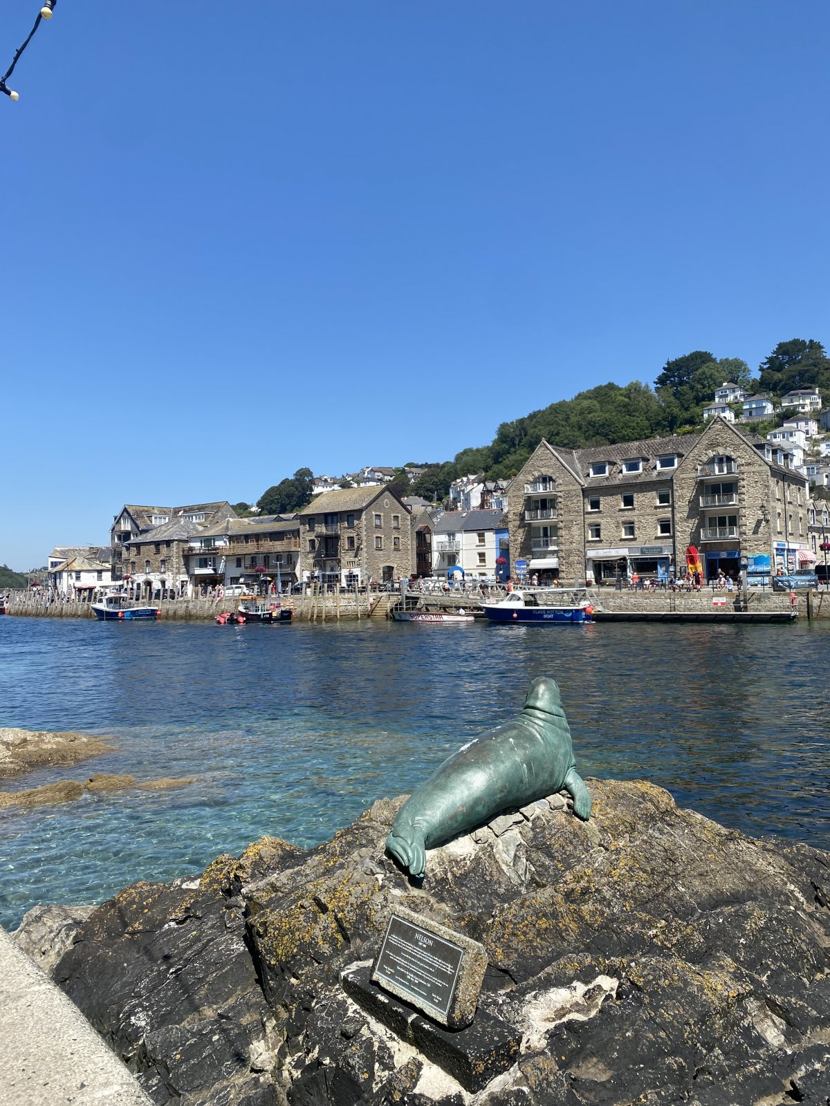 IMG_0717.jpeg