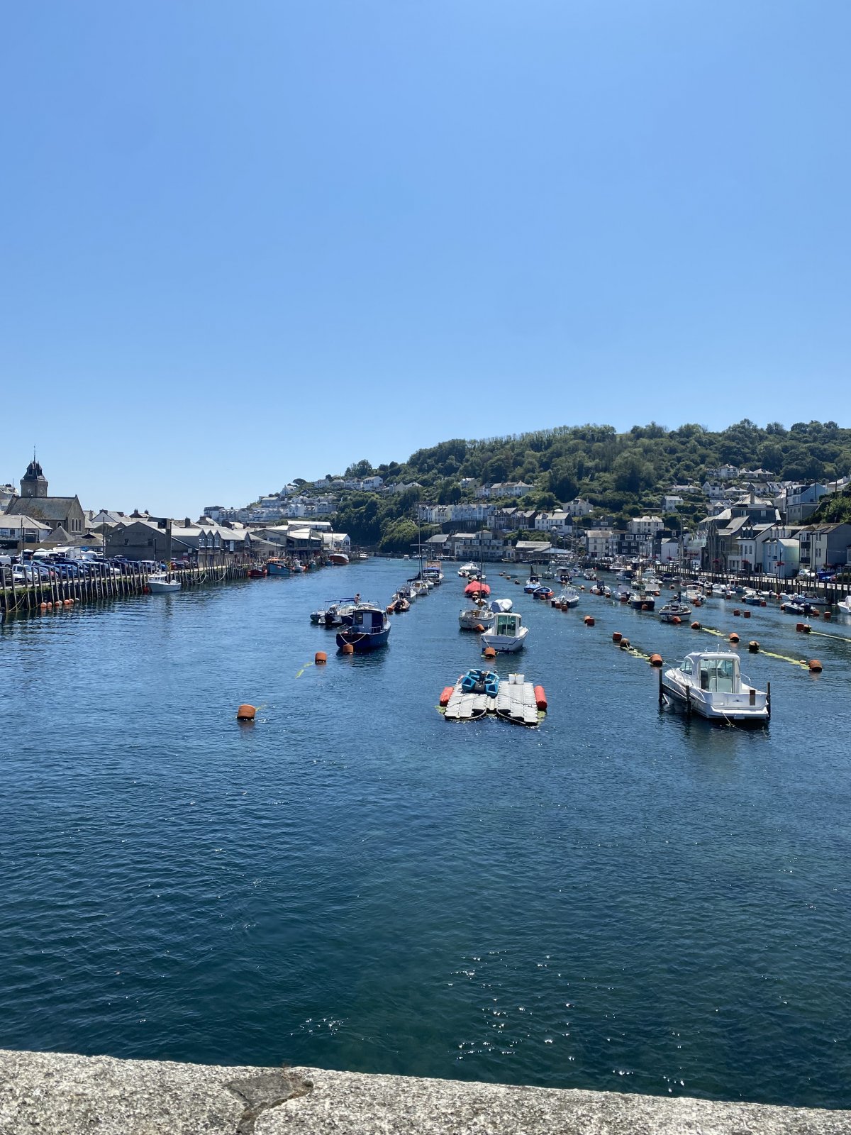 IMG_0718.jpeg