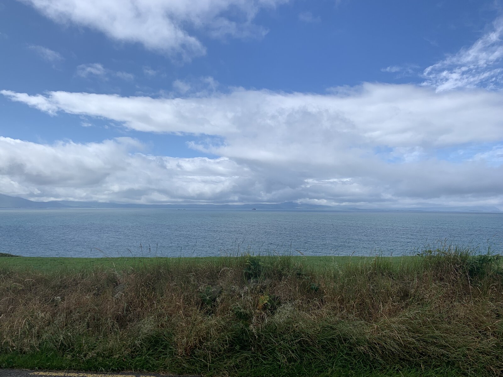 IMG_1121.jpeg