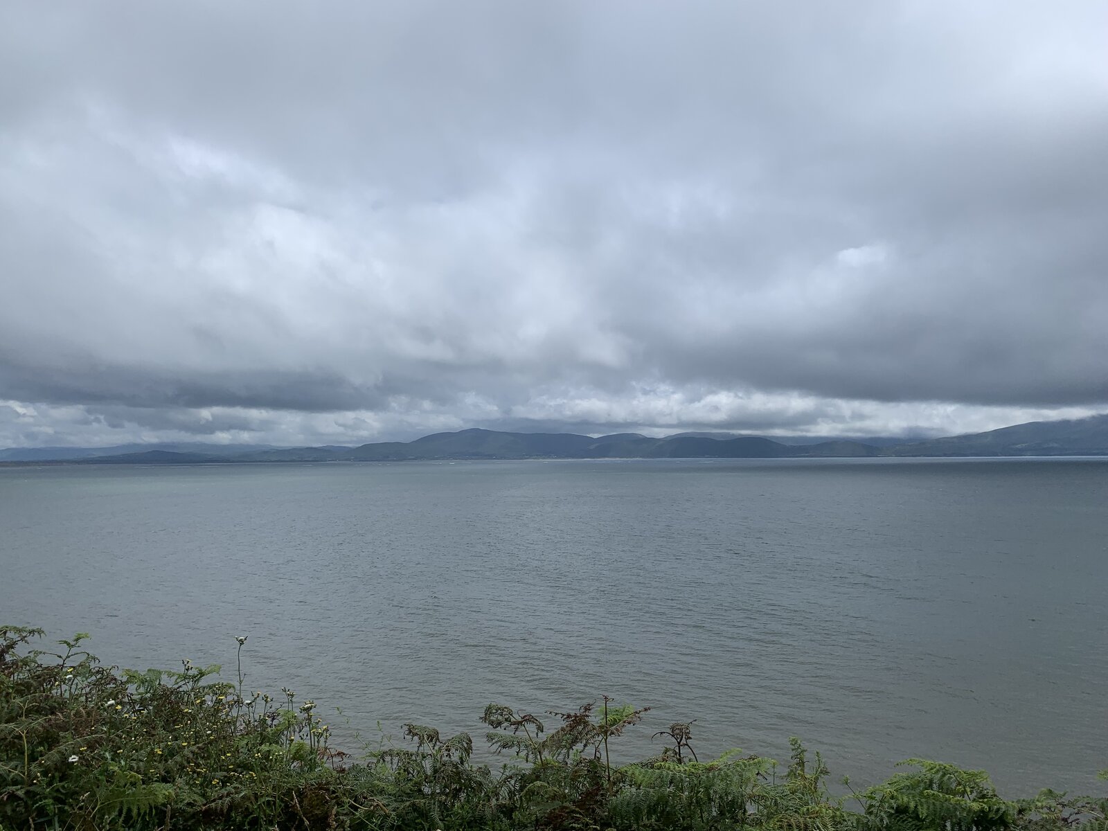 IMG_1138.jpeg