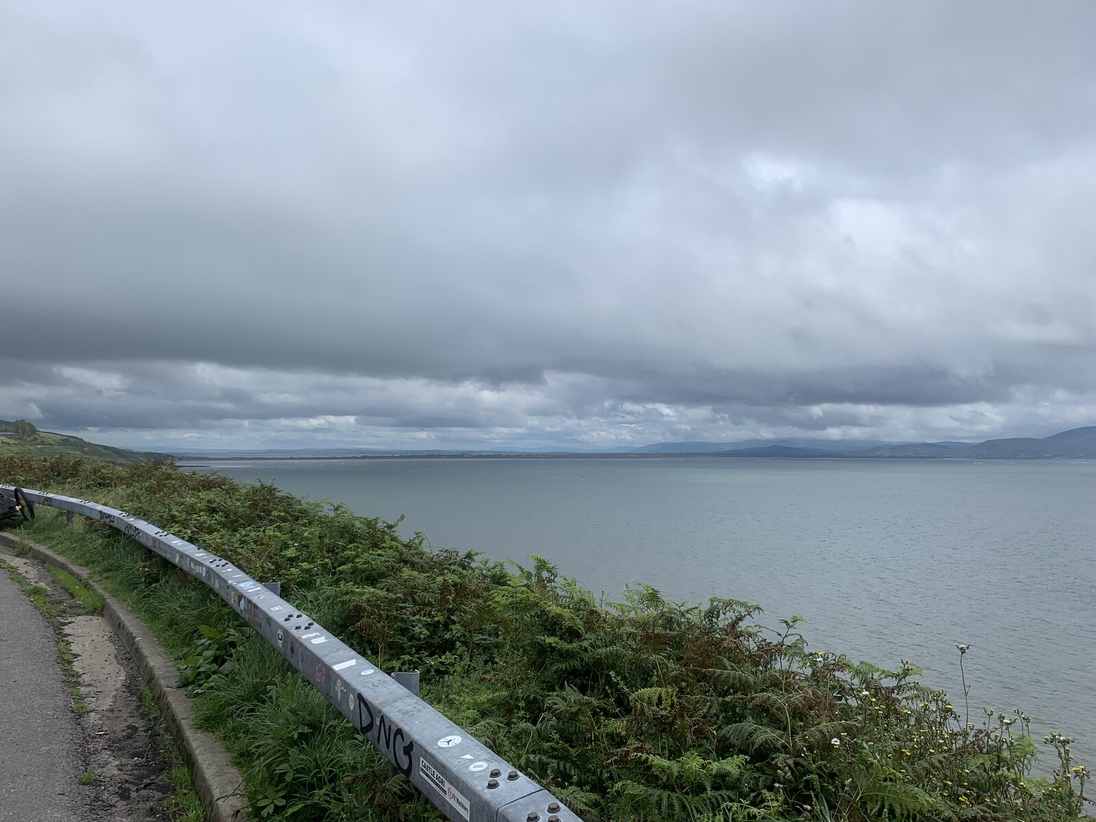 IMG_1139.jpeg