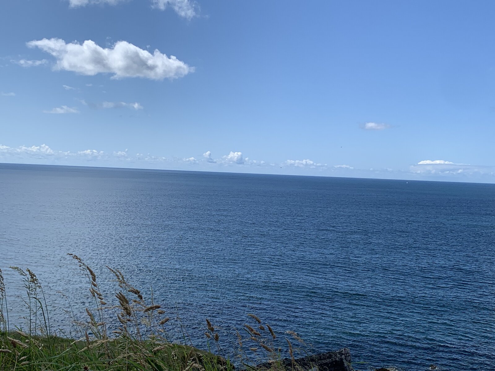 IMG_1209.jpeg