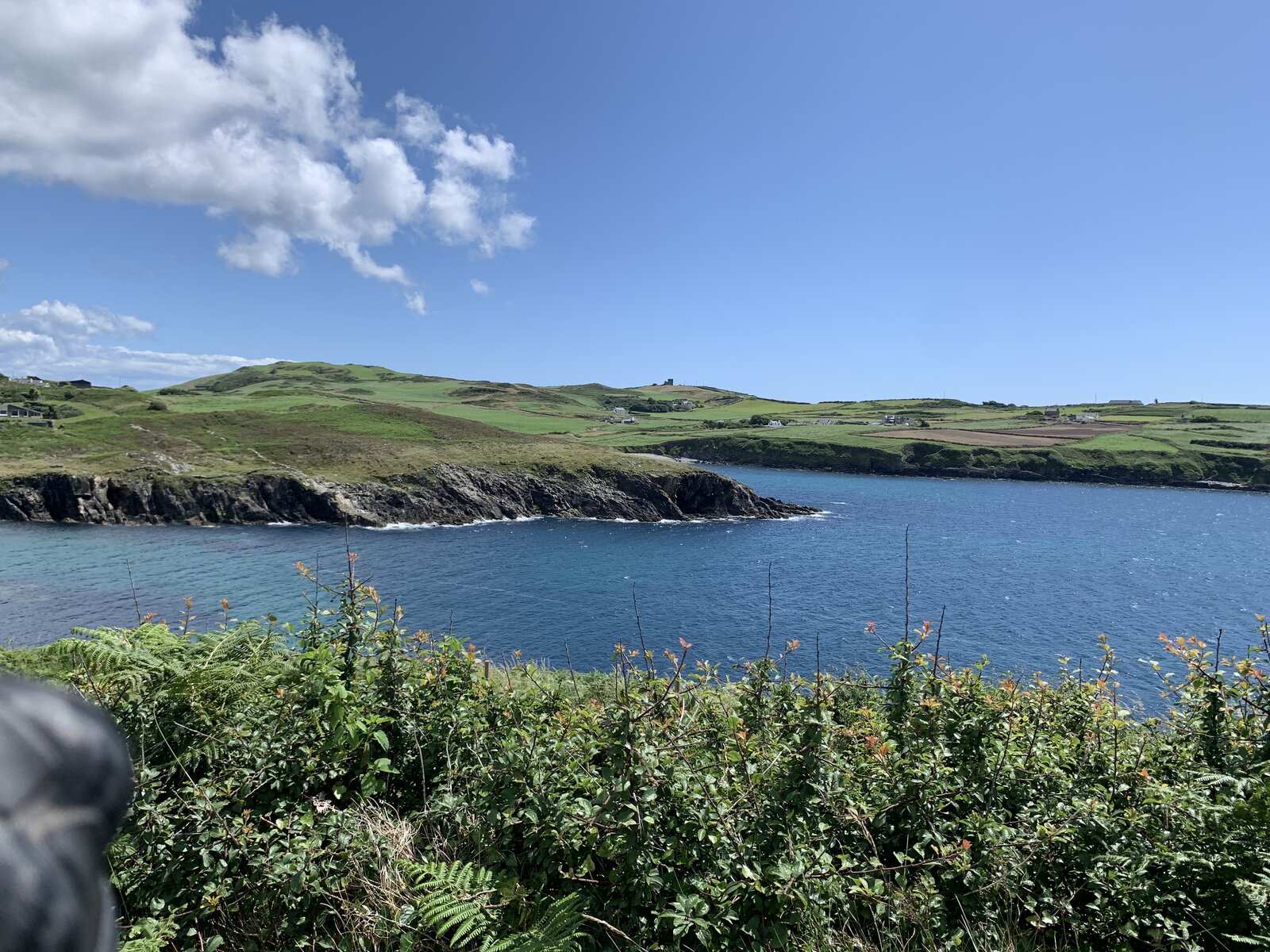 IMG_1222.jpeg