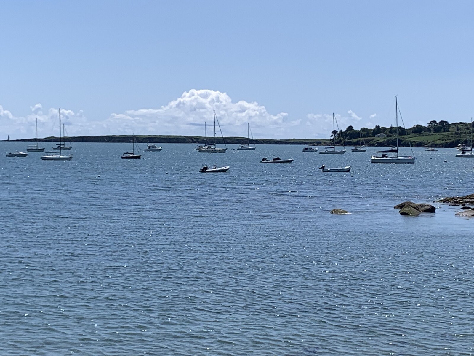 IMG_1229.jpeg