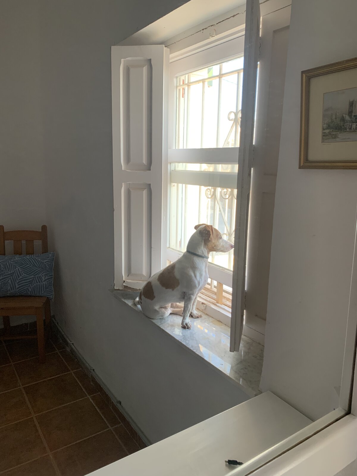 IMG_1305.jpeg